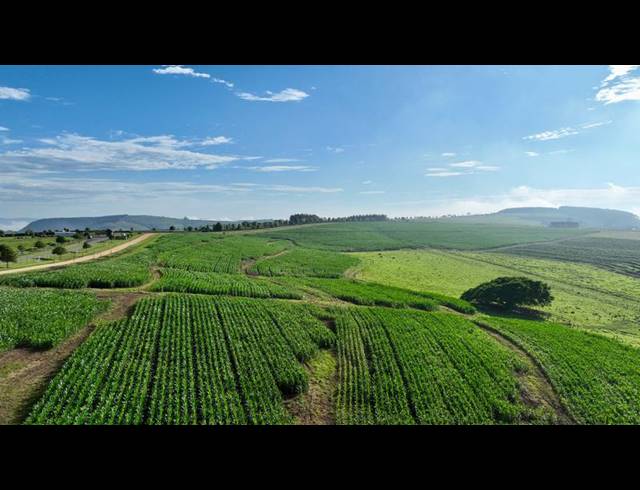 LAND FOR SALE IN MOUNT VERDE